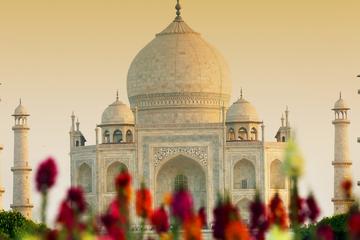 Golden Triangle Tour with Jodhpur