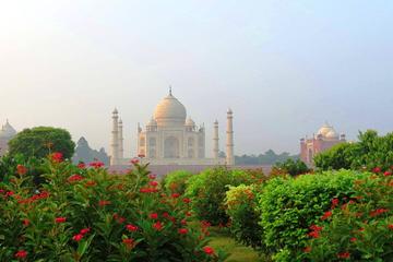 Golden Triangle Tour with Professiona Guide