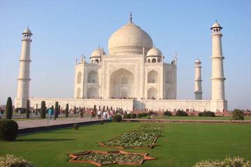 Half Day Tour of Taj Mahal with Agra Fort