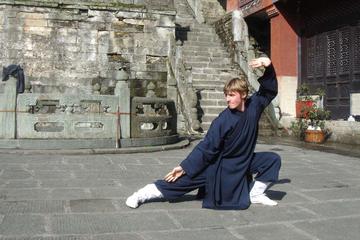Exclusive Panda & Kungfu Day Tour