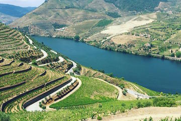 Douro Valley Food and Wine Tour From Porto