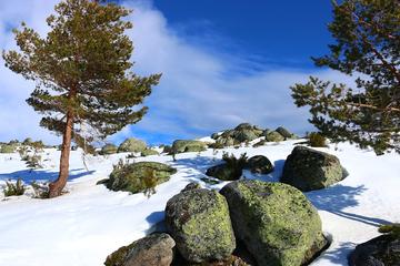 Serra da Estrela day tour From Porto