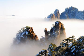 2-Day Sightseeing of Huangshan and Hongcun Village