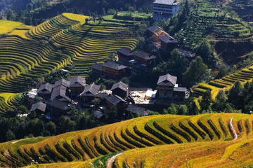 3-Night Guilin with Li River Cruise and Longji Rice Terraces