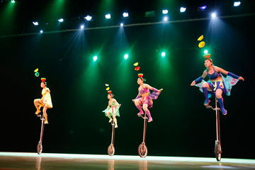 Acrobatic Show and Beijing Duck Dinner with Private Hotel Transfer