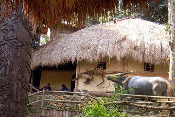Hainan Island Deer Turn-Around Park and Areca Valley Resort Day Trip from Sanya