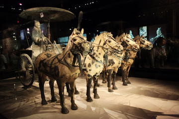 Half-Day Tour of the Terracotta Warriors and Horses Museum From Xi'an