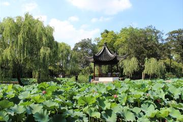 Suzhou Day Tour: Lion Grove Garden and Pingjiang Road with Canal Boat Ride