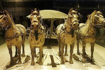 Xi'an Airport (XIY) Arrival Transfer with Visit of Terracotta Warriors and Horses Museum