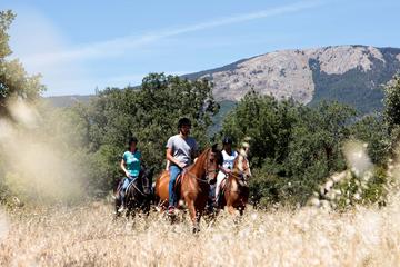 Horse Riding and Tapas Picnic Madrid