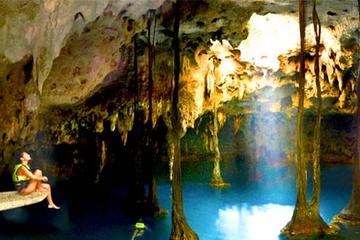 Xenotes Oasis Maya: Cenotes Adventure from Playa del Carmen