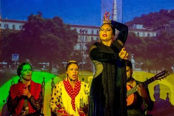 LIVE FLAMENCO SHOW IN MÁLAGA - TABLAO FLAMENCO LOS AMAYAS