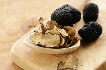 Guided Truffle Hunt in Tuscany with Light Gourmet Lunch