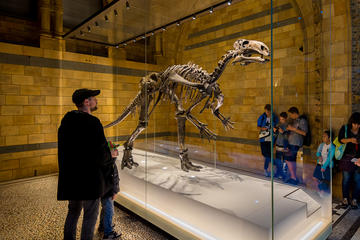 Dinosaur Discovery: The Natural History Museum Family Tour