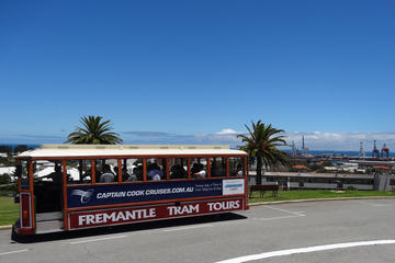 Perth Shore Excursion: Fremantle Hop-On Hop-Off Tram Tour