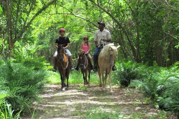 Countryside Horseback Riding at Scape Park