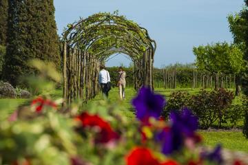 3-hour Venice: the Secret Gardens Discovering Walking tour