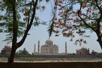 Private Taj Mahal Tour by Gatiman Exp