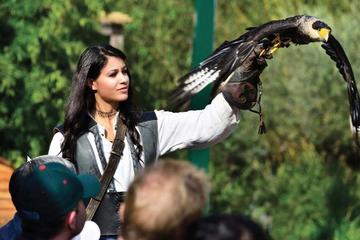 Falconeria Locarno Ticket
