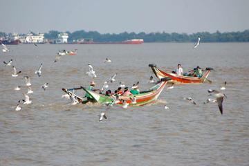 Experience Yangon Rural Across the River : Full Day Tour of Dala City