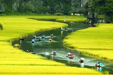 Hoa Lu Tam Coc Full Day Tour with Biking, Boating, Sightseeing from Hanoi