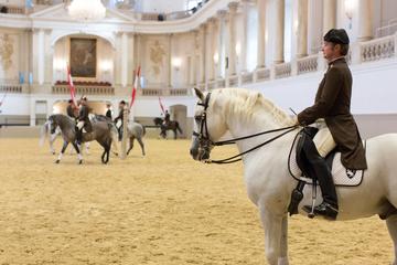 Spanish Riding School: Morning Exercise Entrance Ticket in Vienna
