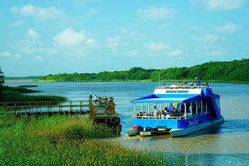 St Lucia Estuary Boat Cruise