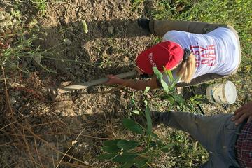 In Focus: Healing Nature Small Group Eco Tour Including Planting a Tree