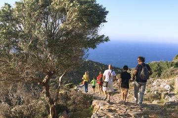 Private Tour: Sunset in Zorbas Land with Wine and Food Tastings