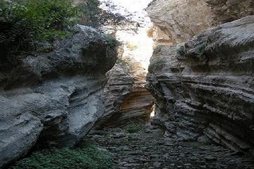 Day Trip by Mini Bus to Akamas From Paphos