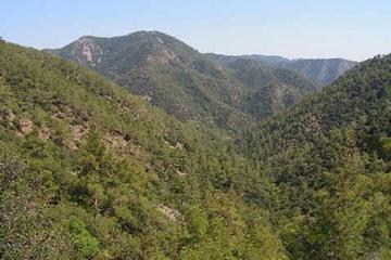 Troodos and Kykkos Day Tour from Paphos