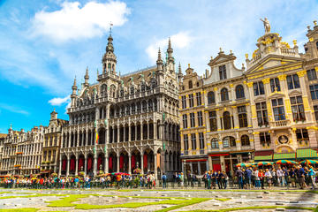 Private Tour: Brussels Sightseeing Tour