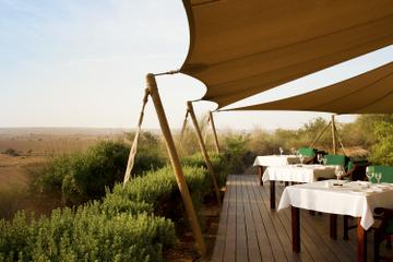 Conservation Drive With Refreshments at Al Maha Desert Resort and Transport from Dubai