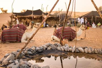 Dubai Bedouin Culture Experience with Wildlife Safari and Breakfast