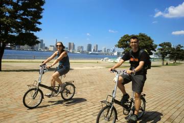 Tokyo by Bike: Tsukiji Market and Odaiba Including Tokyo Bay Cruise
