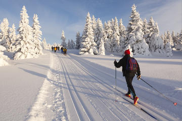 Cross-Country Ski Rental in Lake Tahoe