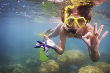 Cozumel Snorkel Tour from Cancun: Coral Reefs and Playa Mia Beach Park