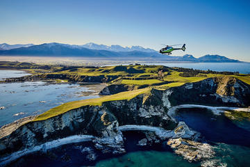 Heli-Whale Watch Explorer