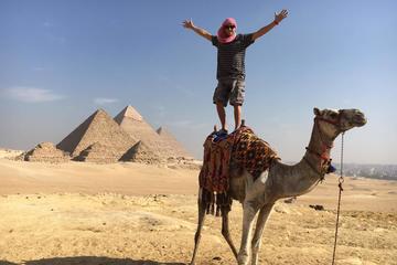 Pyramids Tour with Felucca Ride