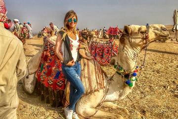 safari camel ride or quad bike sunset or sunrise