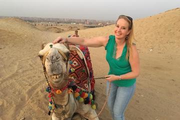 safari camel ride or quad bike sunset or sunrise