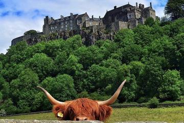 Private Edinburgh Shore Driving Tour to Stirling, Battle Of Banockburn, Wallace