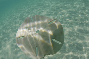 Caicos Cays Cruise