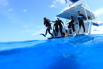 Two Tank Scuba Dive
