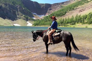 Trail Riding in the Canadian Rockies