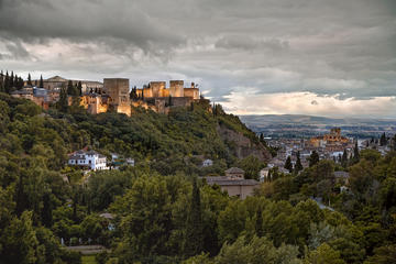 Tour Alhambra (No tickets included)