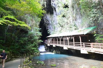 Akiyoshidai Lime Stone Caves