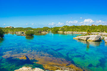 Cenotes and Paradise Lagoon with Snorkeling from Playa del Carmen