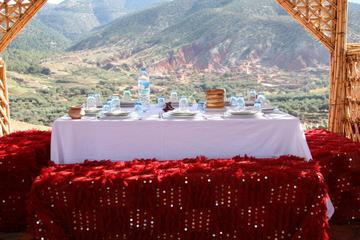 Adventure Park Day Tour including Lunch from Marrakech