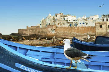 Full-Day Excursion to Essaouira from Marrakech